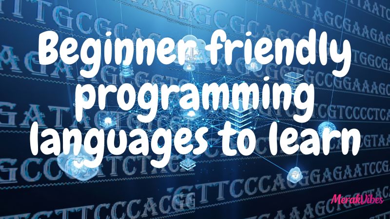 Beginner friendly programming languages to learn
